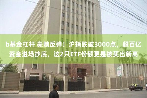 b基金杠杆 豪赌反弹！沪指跌破3000点，超百亿资金进场抄底，这2只ETF份额更是被买出新高