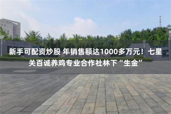 新手可配资炒股 年销售额达1000多万元！七星关百诚养鸡专业合作社林下“生金”