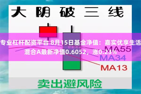 专业杠杆配资平台 8月15日基金净值：嘉实优享生活混合A最新净值0.6052，涨0.23%