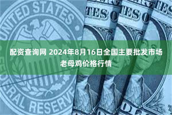 配资查询网 2024年8月16日全国主要批发市场老母鸡价格行情