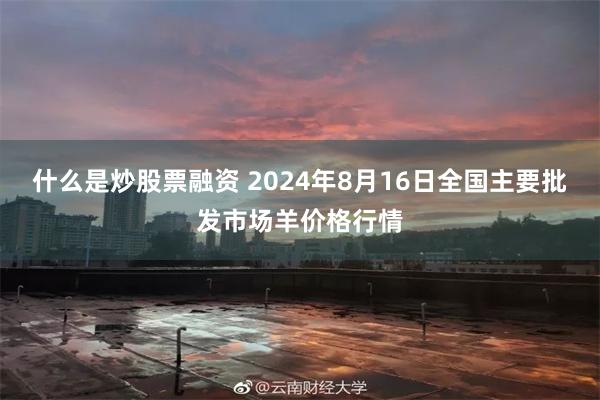 什么是炒股票融资 2024年8月16日全国主要批发市场羊价格行情