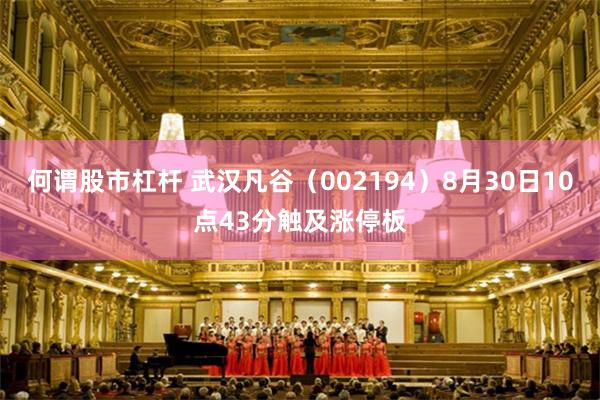 何谓股市杠杆 武汉凡谷（002194）8月30日10点43分触及涨停板