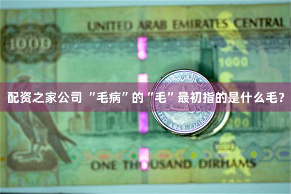 配资之家公司 “毛病”的“毛”最初指的是什么毛？