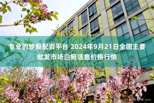 专业的炒股配资平台 2024年9月21日全国主要批发市场白鲢活鱼价格行情