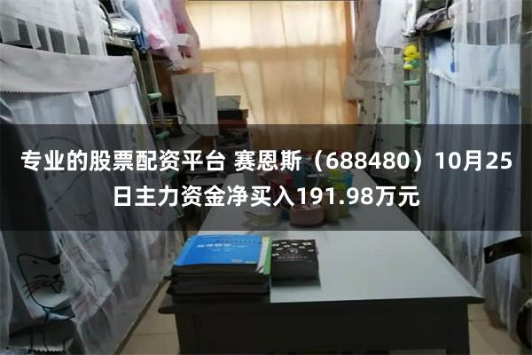 专业的股票配资平台 赛恩斯（688480）10月25日主力资金净买入191.98万元