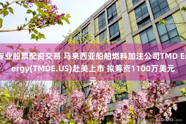 专业股票配资交易 马来西亚船舶燃料加注公司TMD Energy(TMDE.US)赴美上市 拟筹资1100万美元