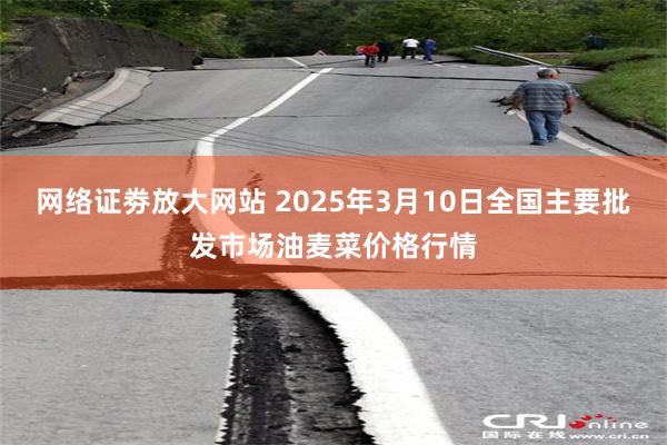 网络证劵放大网站 2025年3月10日全国主要批发市场油麦菜价格行情